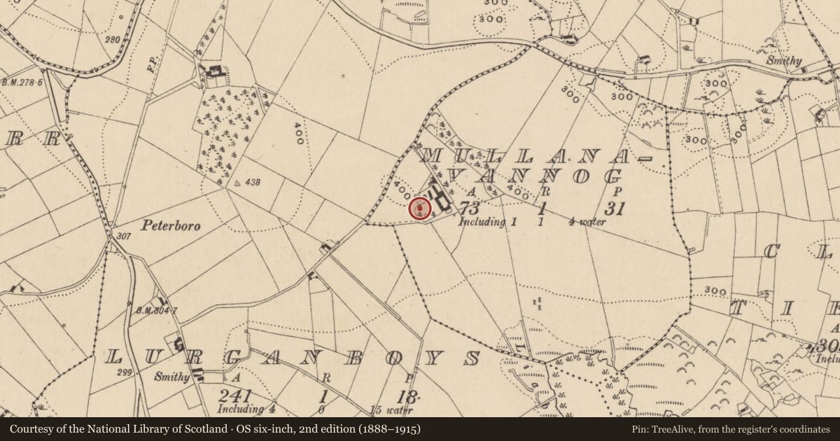 Ordnance Survey six-inch map, 2nd edition (1888–1915) covering the location of Ringfort - rath, Mullanavannog, County Monaghan, with a pin at the register's coordinates