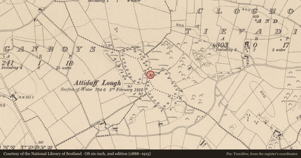 Ordnance Survey six-inch map, 2nd edition (1888–1915) covering the location of Crannog, Lurganboys, Cloghoge And Tievadinna, County Monaghan, with a pin at the register's coordinates
