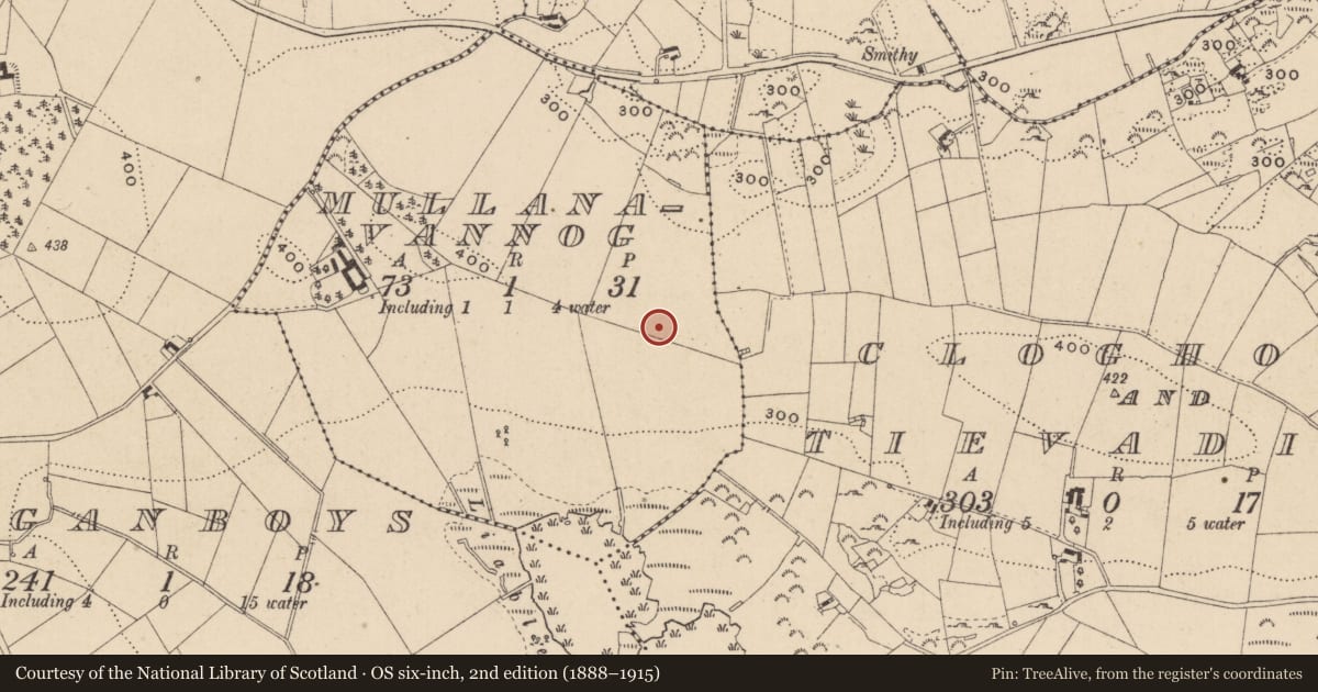 Ordnance Survey six-inch map, 2nd edition (1888–1915) covering the location of Ringfort - rath, Mullanavannog, County Monaghan, with a pin at the register's coordinates