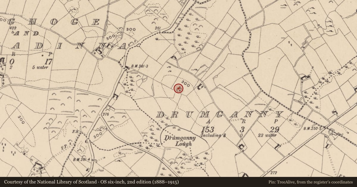 Ordnance Survey six-inch map, 2nd edition (1888–1915) covering the location of Ringfort - rath, Drumganny, County Monaghan, with a pin at the register's coordinates