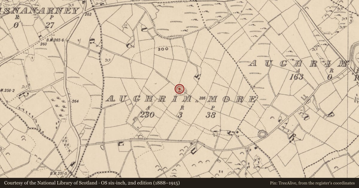 Ordnance Survey six-inch map, 2nd edition (1888–1915) covering the location of Ringfort - rath, Aughrim More, County Monaghan, with a pin at the register's coordinates