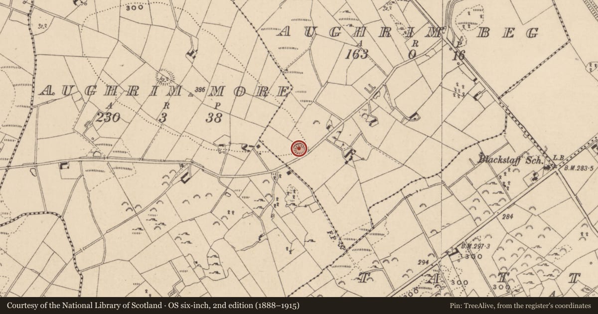 Ordnance Survey six-inch map, 2nd edition (1888–1915) covering the location of Ringfort - rath, Aughrim Beg, County Monaghan, with a pin at the register's coordinates