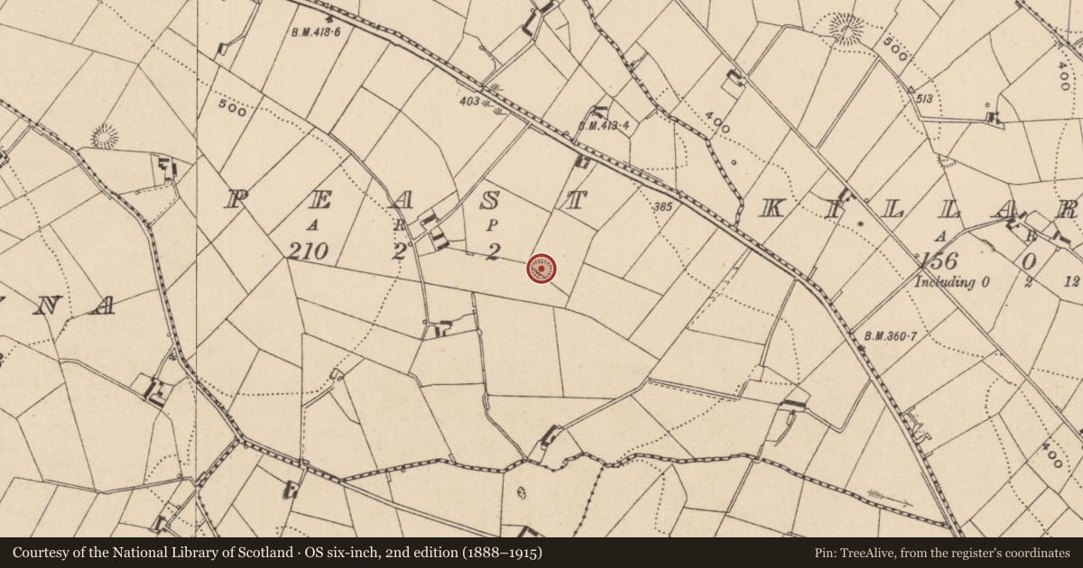Ordnance Survey six-inch map, 2nd edition (1888–1915) covering the location of Ringfort - rath, Peast, County Monaghan, with a pin at the register's coordinates