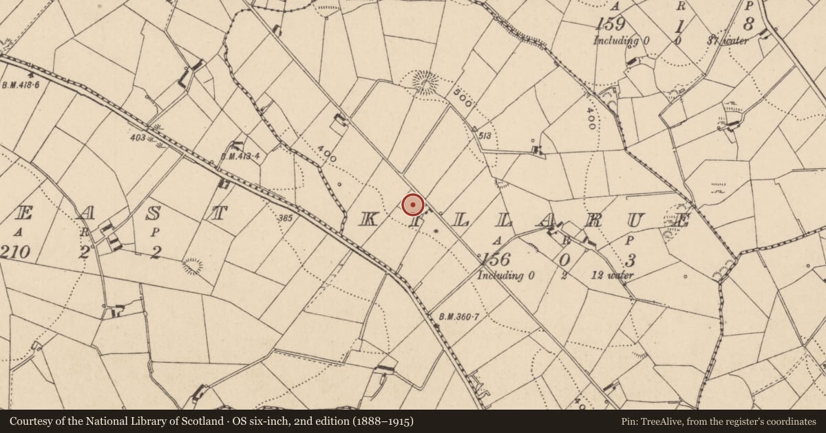Ordnance Survey six-inch map, 2nd edition (1888–1915) covering the location of Ringfort - rath, Killarue, County Monaghan, with a pin at the register's coordinates