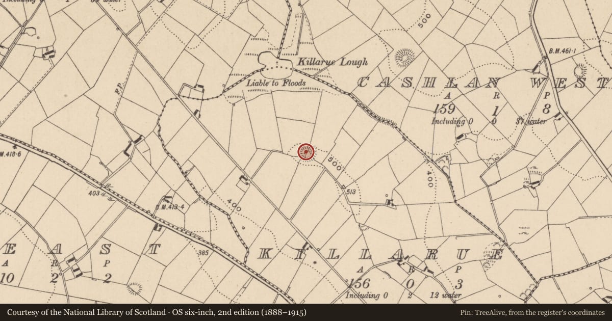 Ordnance Survey six-inch map, 2nd edition (1888–1915) covering the location of Ringfort - rath, Killarue, County Monaghan, with a pin at the register's coordinates