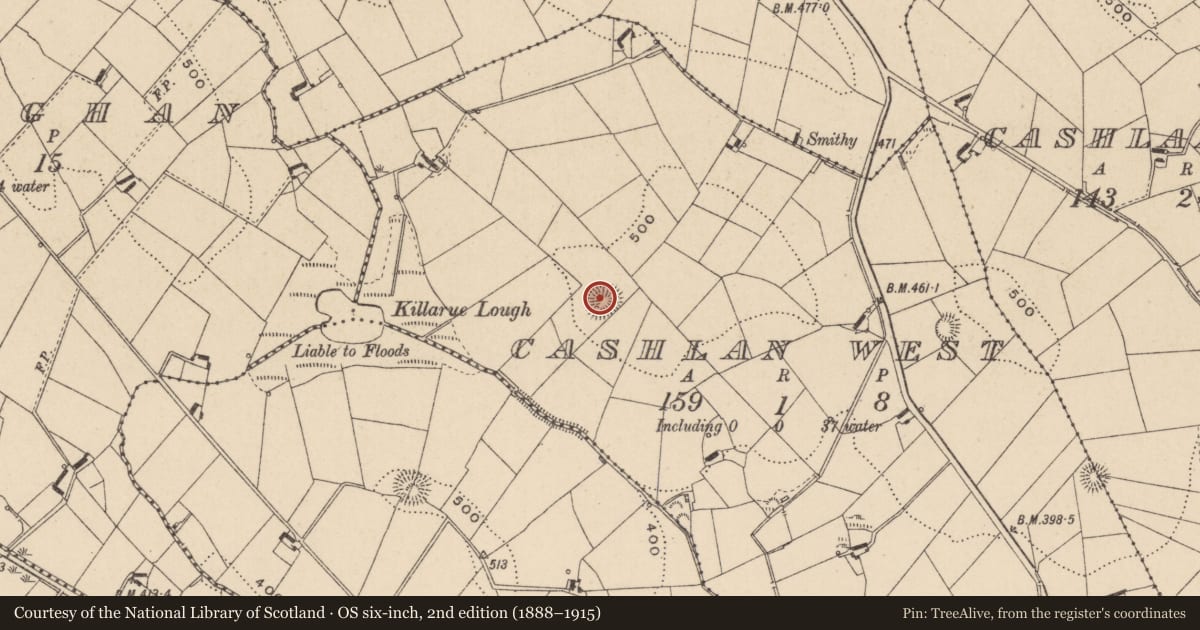 Ordnance Survey six-inch map, 2nd edition (1888–1915) covering the location of Ringfort - rath, Cashlan West, County Monaghan, with a pin at the register's coordinates