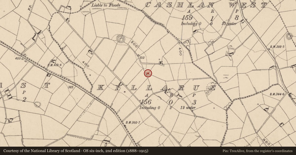 Ordnance Survey six-inch map, 2nd edition (1888–1915) covering the location of Ringfort - rath, Killarue, County Monaghan, with a pin at the register's coordinates