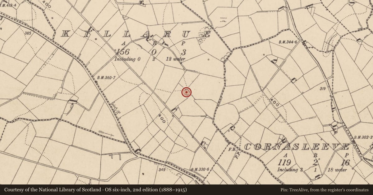 Ordnance Survey six-inch map, 2nd edition (1888–1915) covering the location of Ringfort - rath, Killarue, County Monaghan, with a pin at the register's coordinates