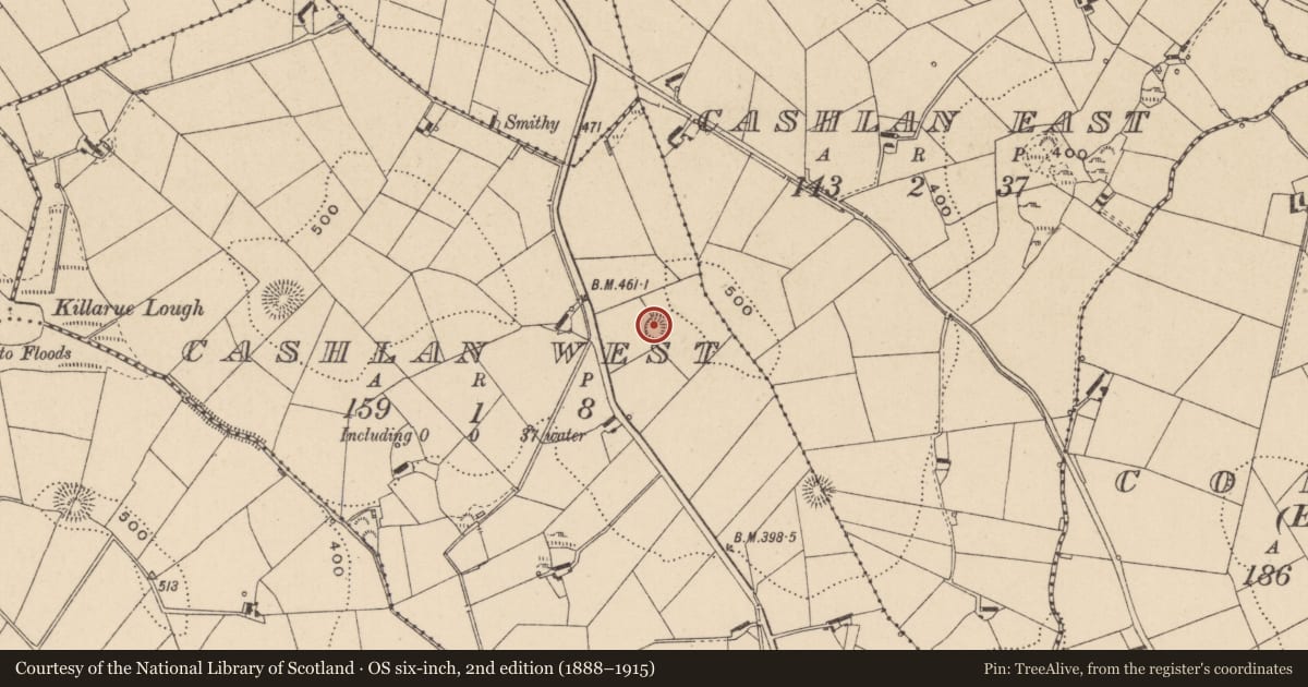 Ordnance Survey six-inch map, 2nd edition (1888–1915) covering the location of Ringfort - rath, Cashlan West, County Monaghan, with a pin at the register's coordinates