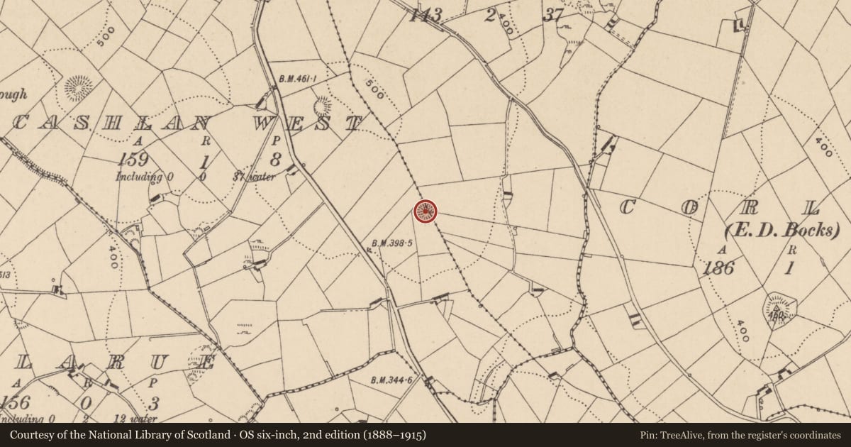Ordnance Survey six-inch map, 2nd edition (1888–1915) covering the location of Ringfort - rath, Cashlan East, Cashlan West, County Monaghan, with a pin at the register's coordinates