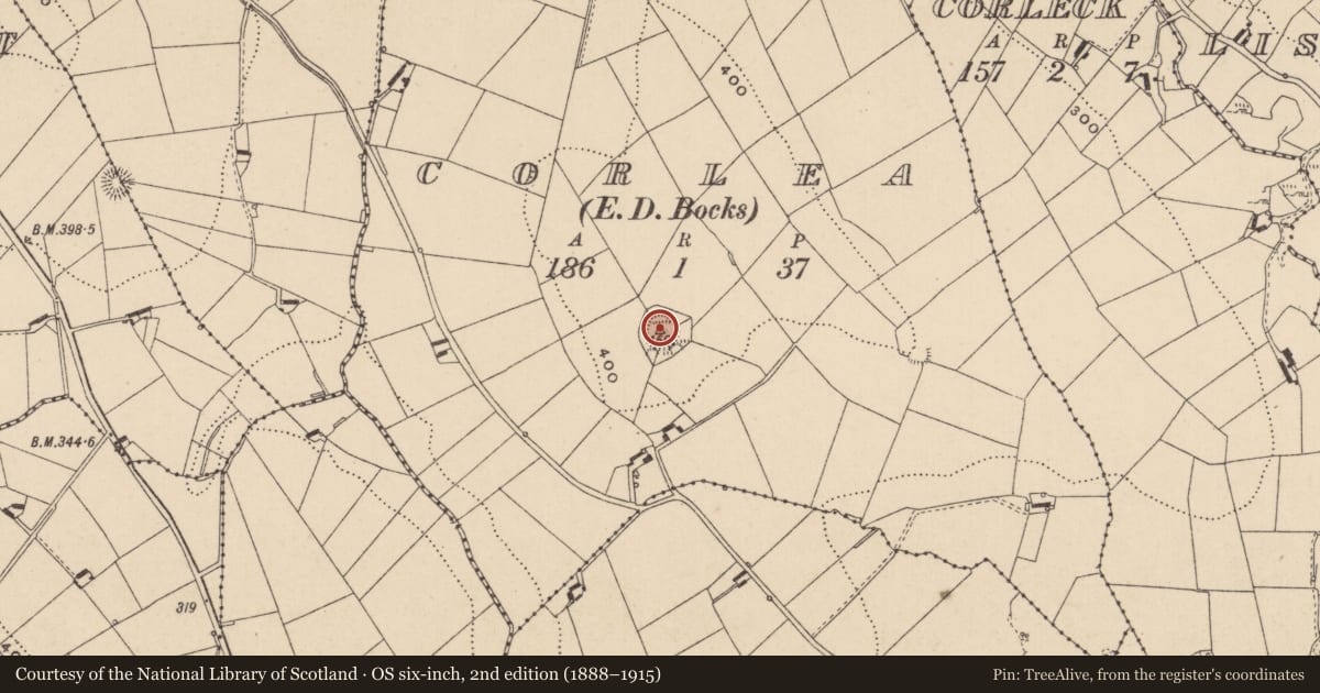 Ordnance Survey six-inch map, 2nd edition (1888–1915) covering the location of Ringfort - rath, Corlea (Farney By., Donaghmoyne Par.), County Monaghan, with a pin at the register's coordinates