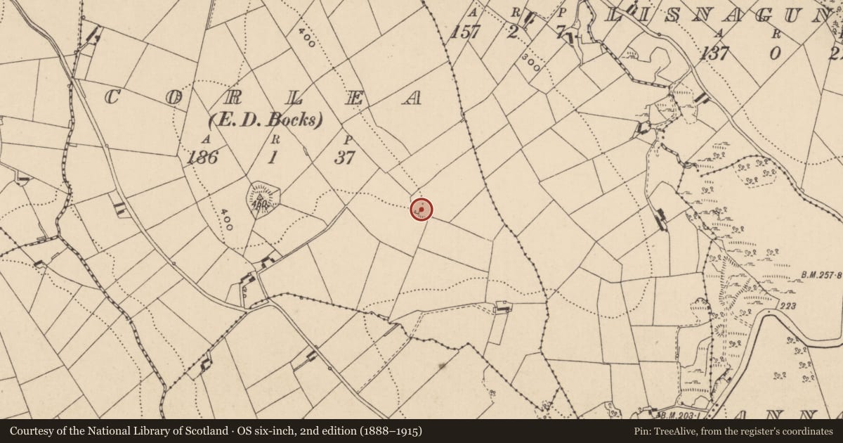 Ordnance Survey six-inch map, 2nd edition (1888–1915) covering the location of Ringfort - rath, Corlea (Farney By., Donaghmoyne Par.), County Monaghan, with a pin at the register's coordinates