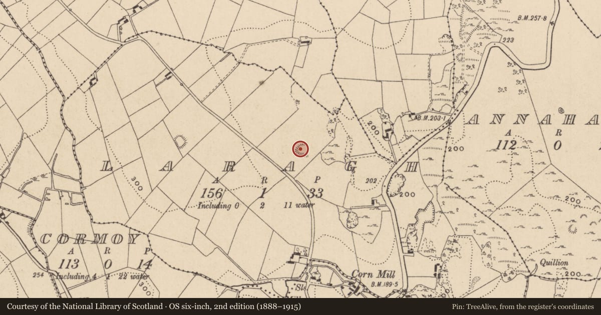 Ordnance Survey six-inch map, 2nd edition (1888–1915) covering the location of Ringfort - rath, Laragh, County Monaghan, with a pin at the register's coordinates