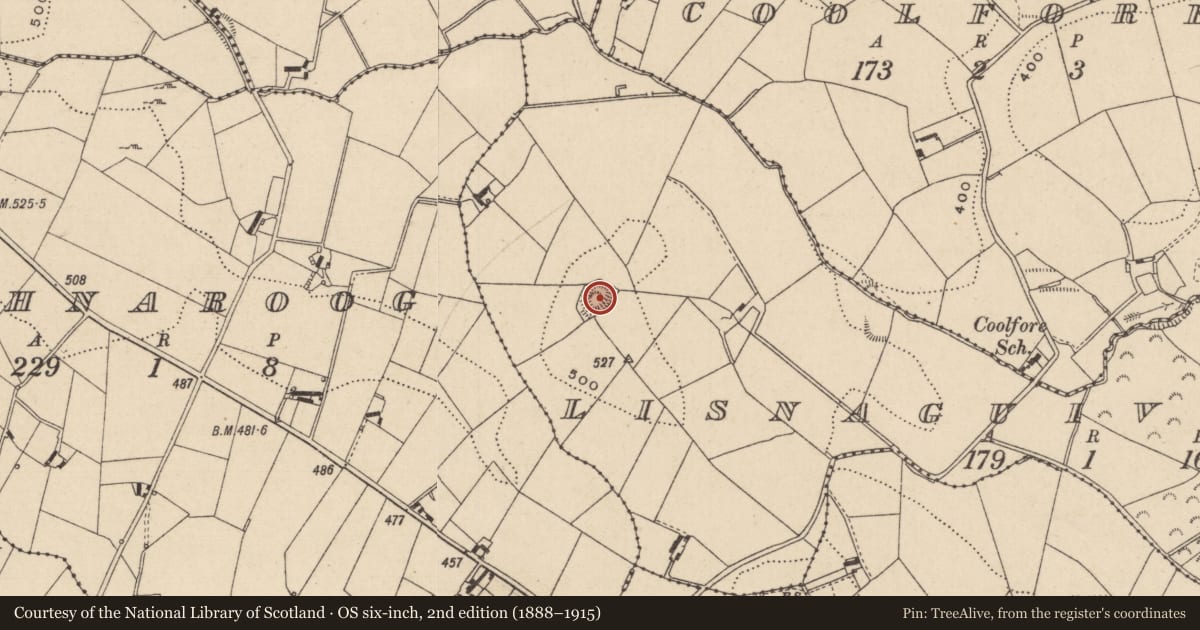Ordnance Survey six-inch map, 2nd edition (1888–1915) covering the location of Ringfort - rath, Lisnaguiveragh, County Monaghan, with a pin at the register's coordinates