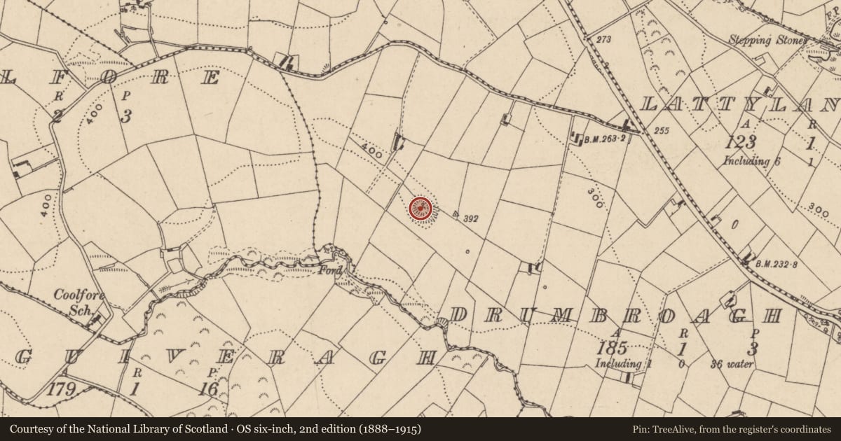 Ordnance Survey six-inch map, 2nd edition (1888–1915) covering the location of Ringfort - rath, Drumbroagh, County Monaghan, with a pin at the register's coordinates
