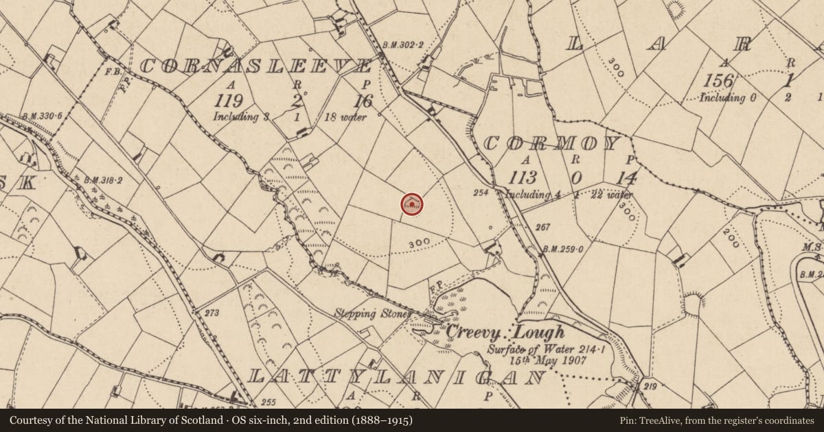 Ordnance Survey six-inch map, 2nd edition (1888–1915) covering the location of Ringfort - rath, Cornasleeve, County Monaghan, with a pin at the register's coordinates