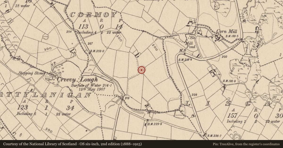 Ordnance Survey six-inch map, 2nd edition (1888–1915) covering the location of Ringfort - rath, Cormoy, County Monaghan, with a pin at the register's coordinates