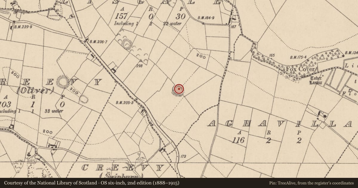 Ordnance Survey six-inch map, 2nd edition (1888–1915) covering the location of Ringfort - rath, Lisgall, County Monaghan, with a pin at the register's coordinates