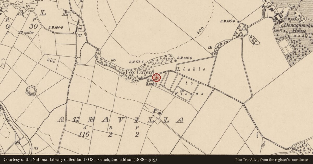 Ordnance Survey six-inch map, 2nd edition (1888–1915) covering the location of Ritual site - holy well, Aghavilla, County Monaghan, with a pin at the register's coordinates