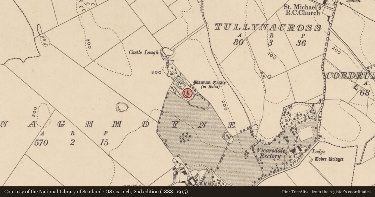 Ordnance Survey six-inch map, 2nd edition (1888–1915) covering the location of Castle - motte and bailey, Donaghmoyne, County Monaghan, with a pin at the register's coordinates