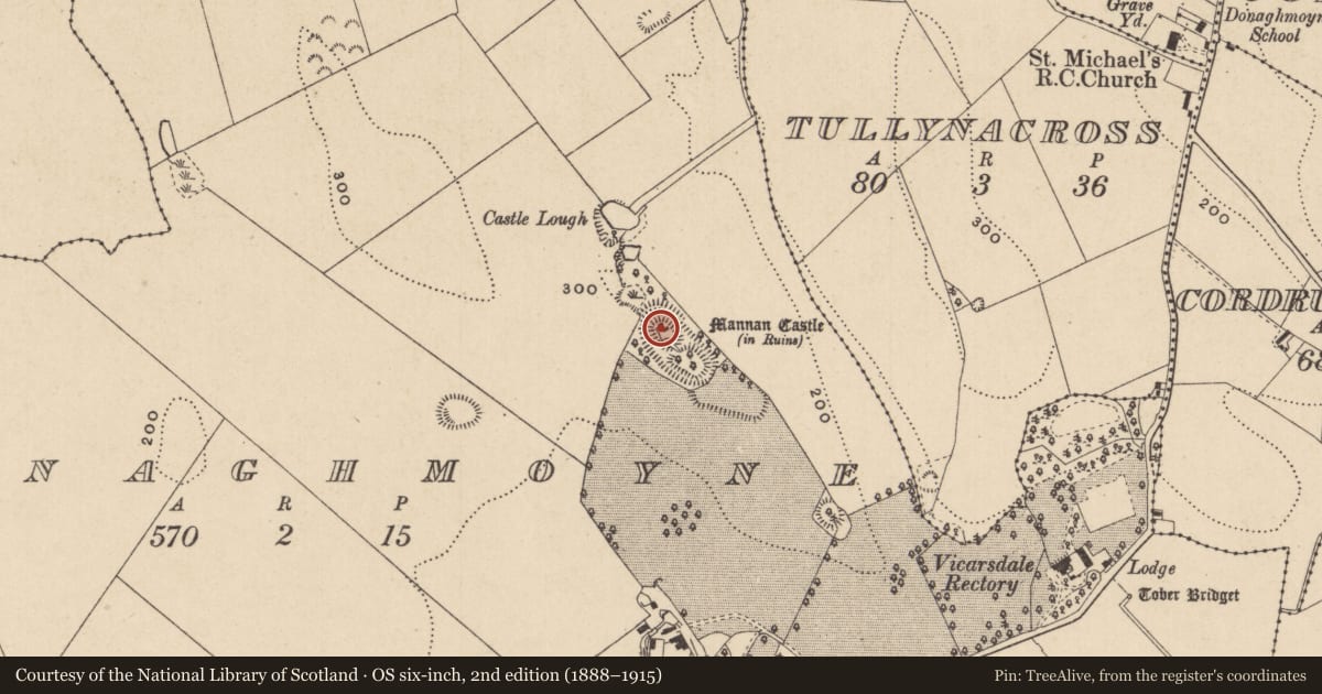 Ordnance Survey six-inch map, 2nd edition (1888–1915) covering the location of Castle - Anglo-Norman masonry castle, Donaghmoyne, County Monaghan, with a pin at the register's coordinates