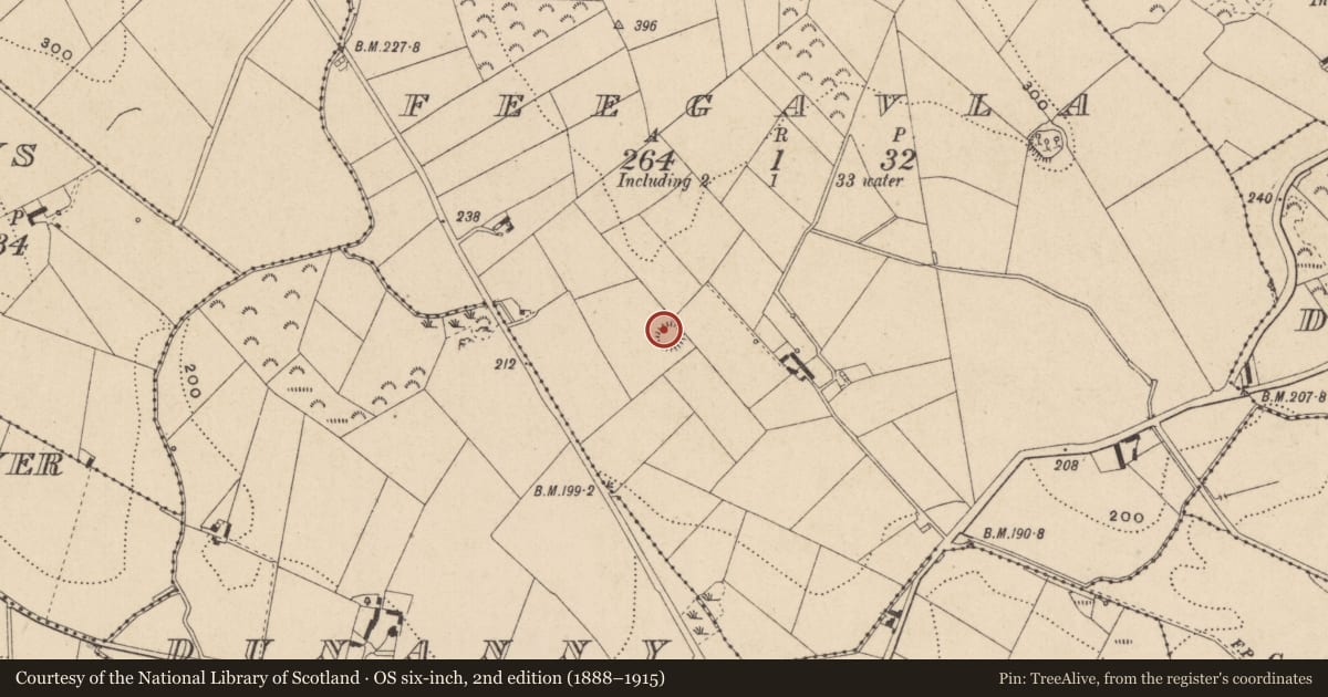 Ordnance Survey six-inch map, 2nd edition (1888–1915) covering the location of Ringfort - rath, Feegavla, County Monaghan, with a pin at the register's coordinates