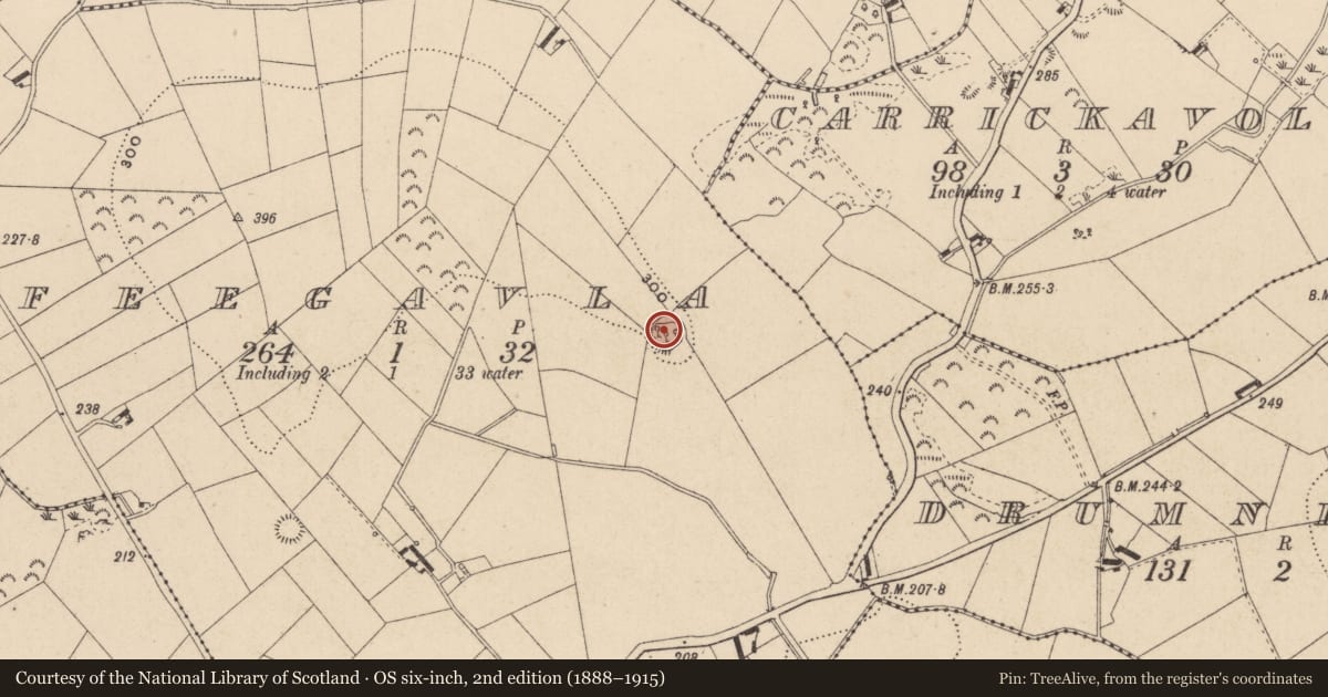 Ordnance Survey six-inch map, 2nd edition (1888–1915) covering the location of Ringfort - rath, Feegavla, County Monaghan, with a pin at the register's coordinates