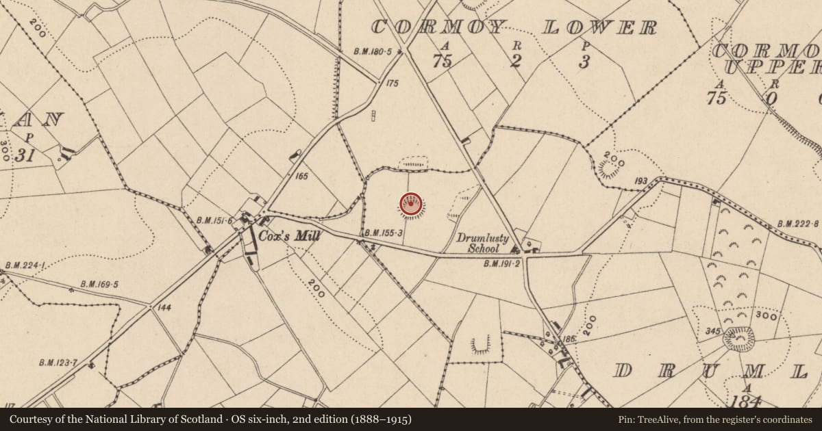 Ordnance Survey six-inch map, 2nd edition (1888–1915) covering the location of Ringfort - rath, Drumlusty, County Monaghan, with a pin at the register's coordinates