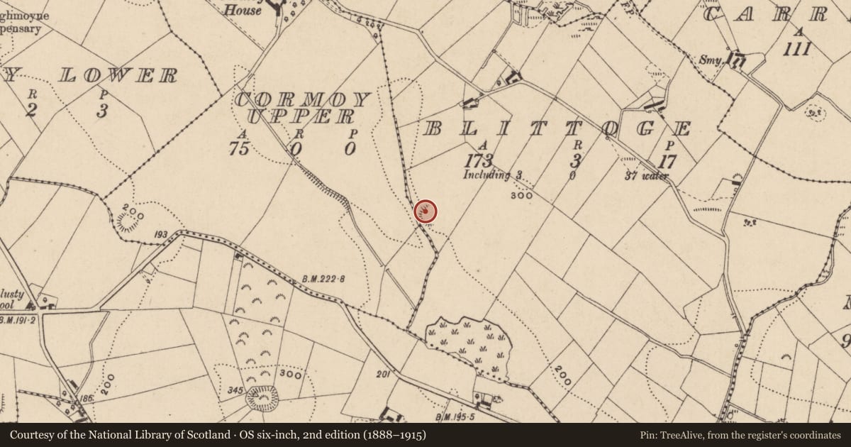 Ordnance Survey six-inch map, 2nd edition (1888–1915) covering the location of Ringfort - rath, Blittoge, County Monaghan, with a pin at the register's coordinates