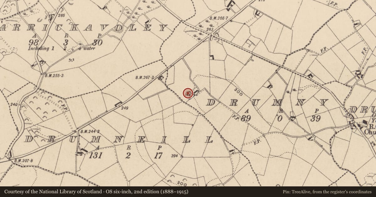 Ordnance Survey six-inch map, 2nd edition (1888–1915) covering the location of Ringfort - rath, Drumny, County Monaghan, with a pin at the register's coordinates