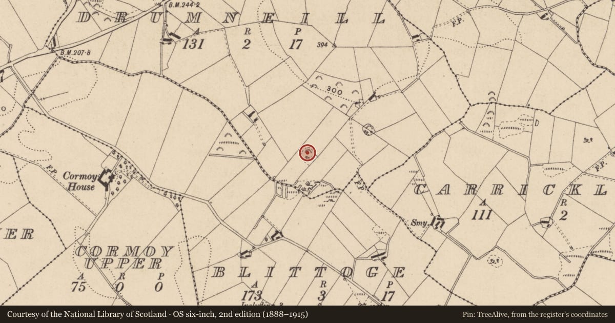 Ordnance Survey six-inch map, 2nd edition (1888–1915) covering the location of Ringfort - rath, Drumneill, County Monaghan, with a pin at the register's coordinates