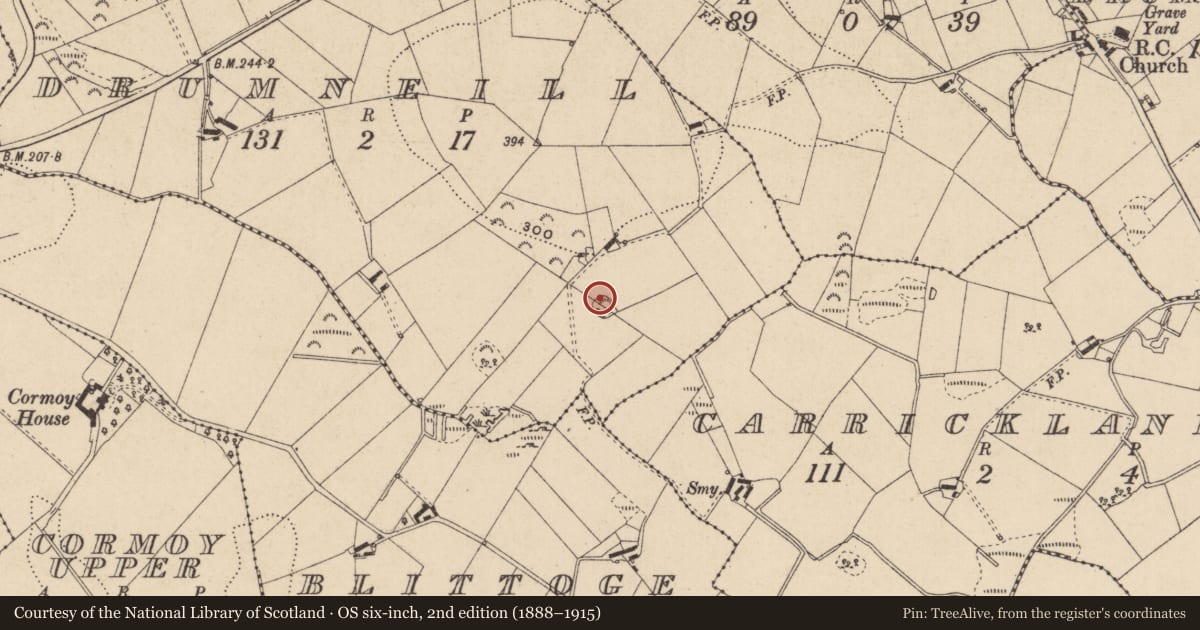 Ordnance Survey six-inch map, 2nd edition (1888–1915) covering the location of Ringfort - rath, Drumneill, County Monaghan, with a pin at the register's coordinates