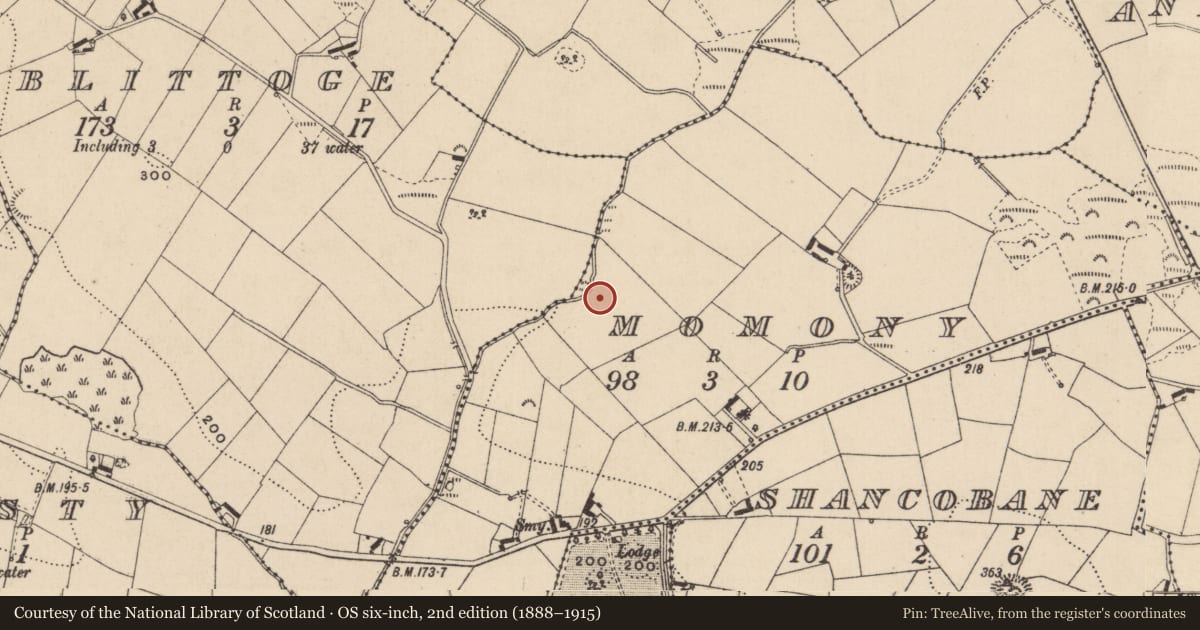 Ordnance Survey six-inch map, 2nd edition (1888–1915) covering the location of Souterrain, Momony, County Monaghan, with a pin at the register's coordinates
