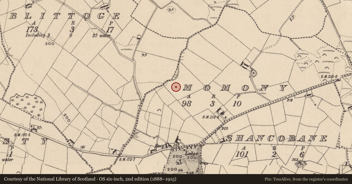 Ordnance Survey six-inch map, 2nd edition (1888–1915) covering the location of Souterrain, Momony, County Monaghan, with a pin at the register's coordinates