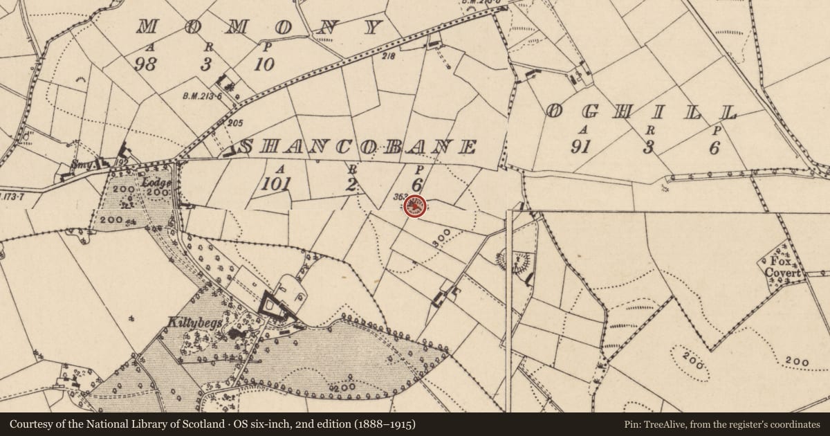 Ordnance Survey six-inch map, 2nd edition (1888–1915) covering the location of Ringfort - rath, Shancobane, County Monaghan, with a pin at the register's coordinates