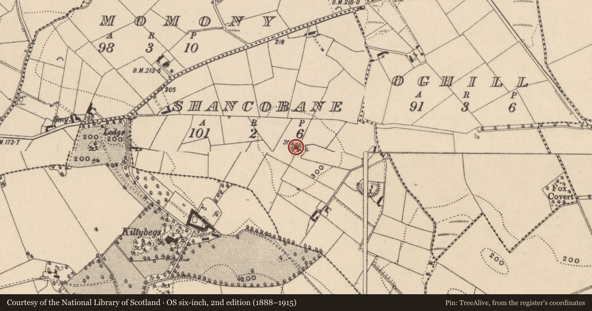 Ordnance Survey six-inch map, 2nd edition (1888–1915) covering the location of Souterrain, Shancobane, County Monaghan, with a pin at the register's coordinates