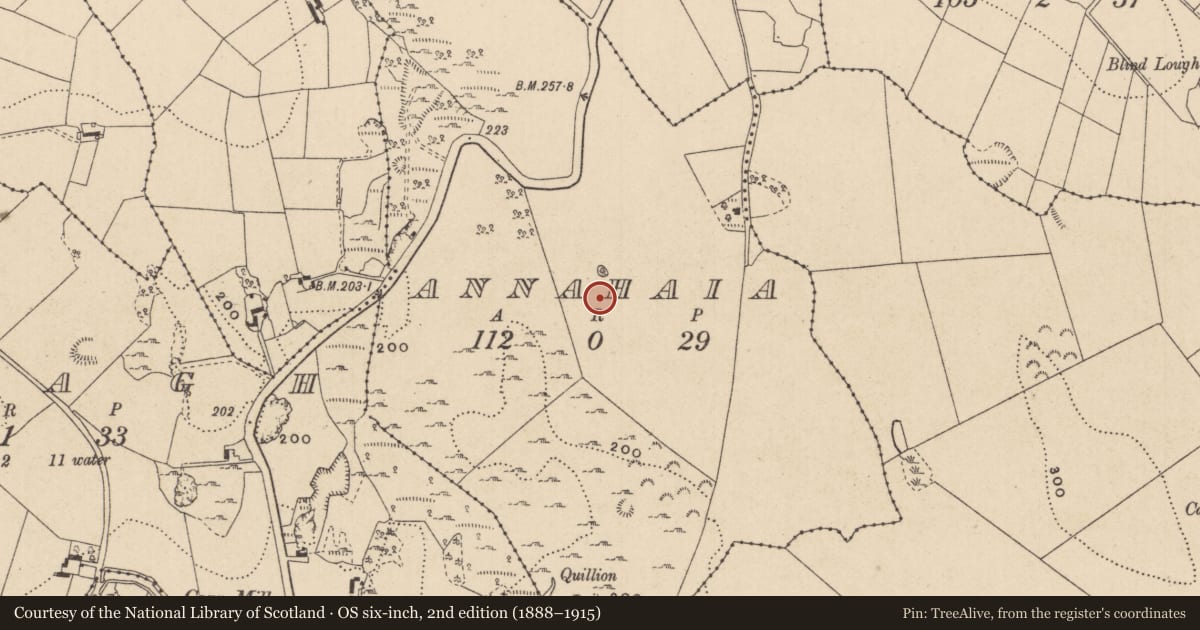 Ordnance Survey six-inch map, 2nd edition (1888–1915) covering the location of Megalithic tomb - court tomb, Annahaia, County Monaghan, with a pin at the register's coordinates