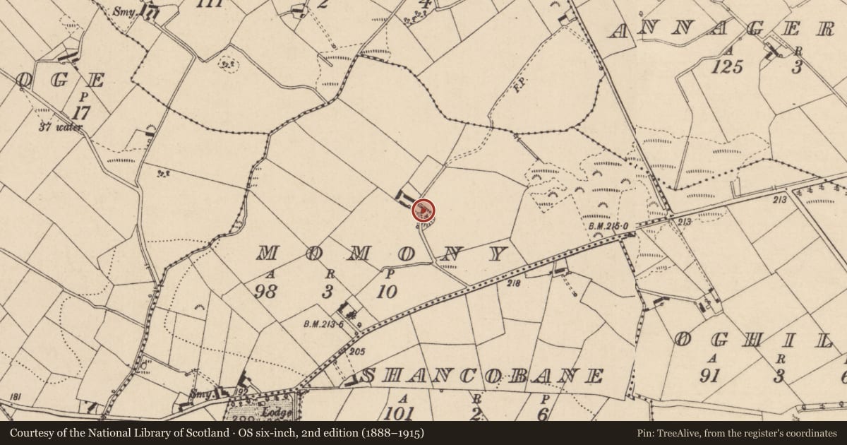 Ordnance Survey six-inch map, 2nd edition (1888–1915) covering the location of Ringfort - rath, Momony, County Monaghan, with a pin at the register's coordinates