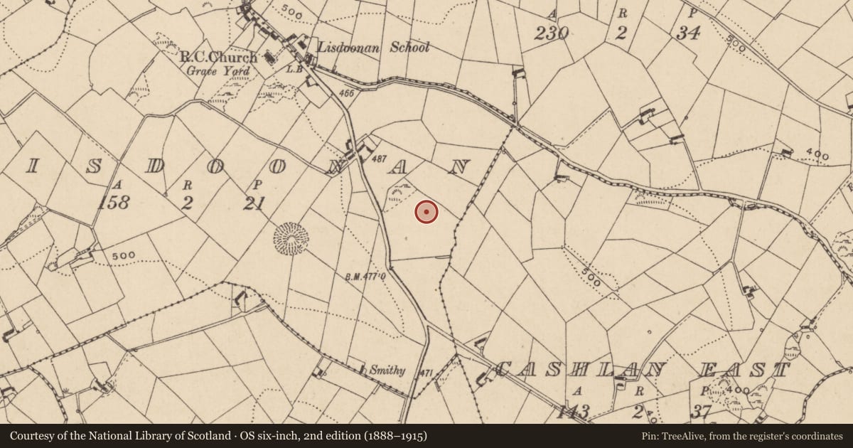 Ordnance Survey six-inch map, 2nd edition (1888–1915) covering the location of Linear earthwork, Lisdoonan, County Monaghan, with a pin at the register's coordinates