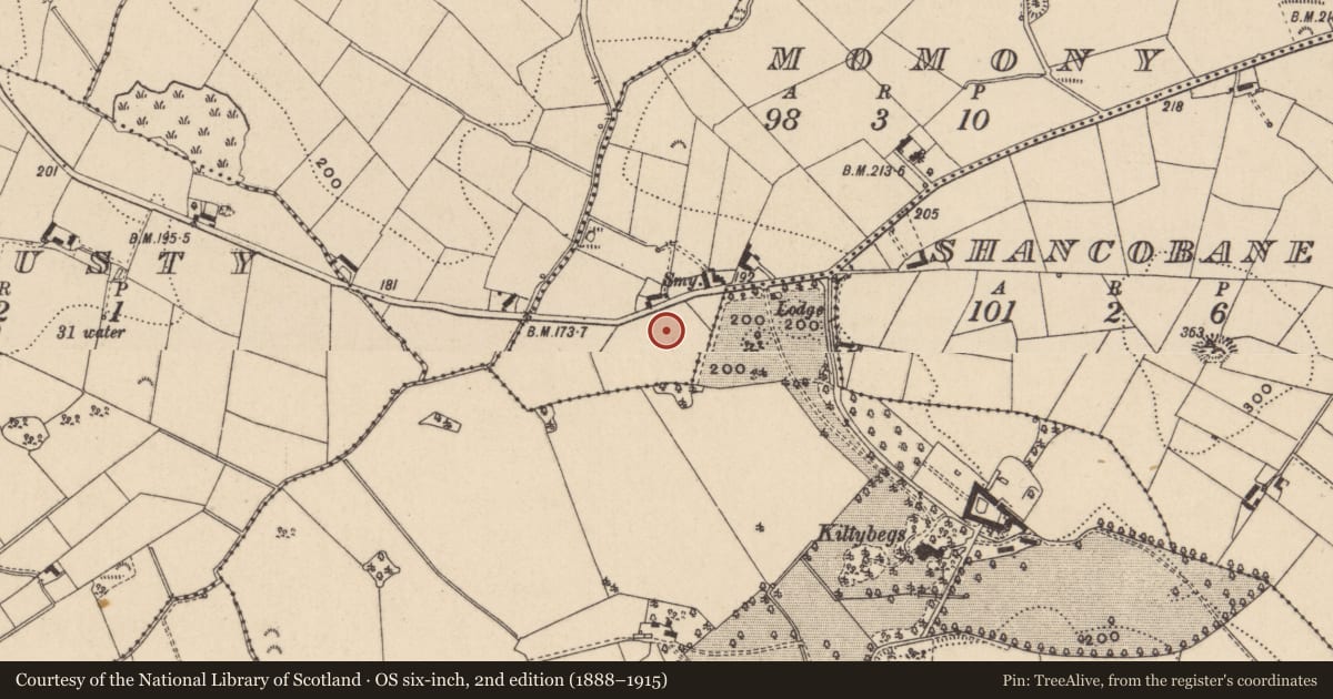 Ordnance Survey six-inch map, 2nd edition (1888–1915) covering the location of Ringfort - rath, Momony, County Monaghan, with a pin at the register's coordinates