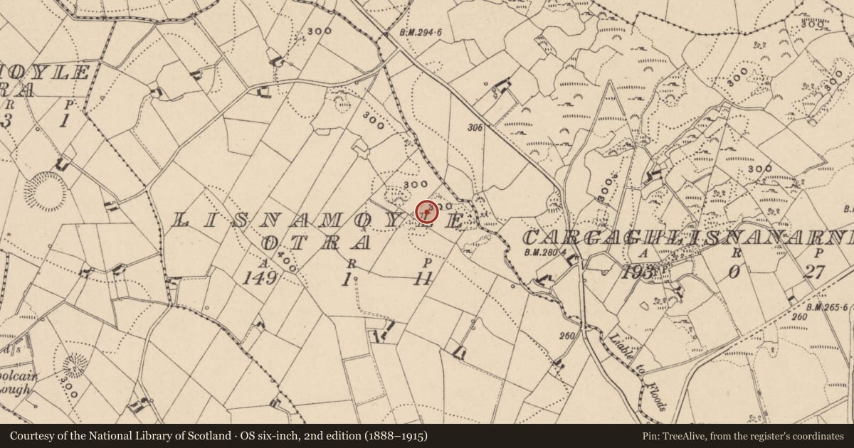 Ordnance Survey six-inch map, 2nd edition (1888–1915) covering the location of Mass-rock, Lisnamoyle Otra, County Monaghan, with a pin at the register's coordinates