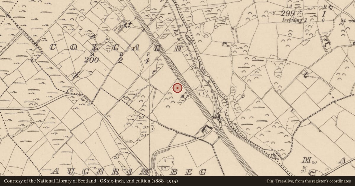Ordnance Survey six-inch map, 2nd edition (1888–1915) covering the location of Enclosure, Colgagh, County Monaghan, with a pin at the register's coordinates