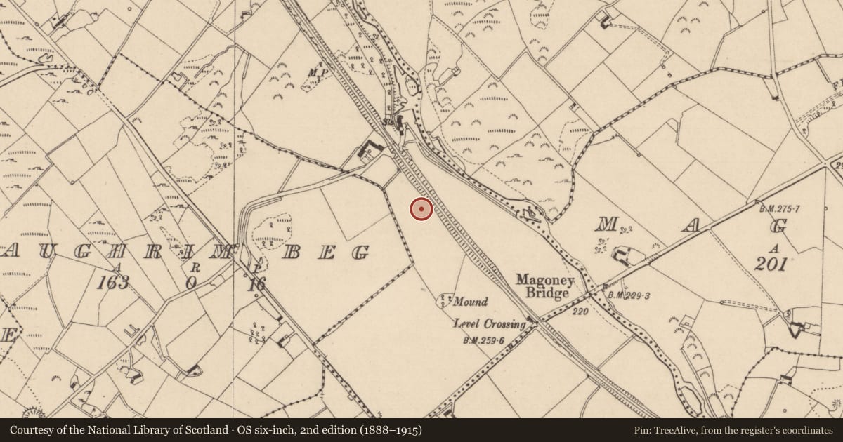 Ordnance Survey six-inch map, 2nd edition (1888–1915) covering the location of Enclosure, Colgagh, County Monaghan, with a pin at the register's coordinates