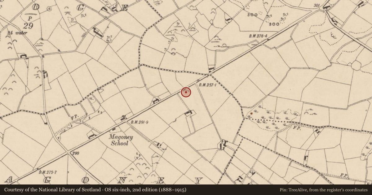 Ordnance Survey six-inch map, 2nd edition (1888–1915) covering the location of Ringfort - rath, Magoney, County Monaghan, with a pin at the register's coordinates