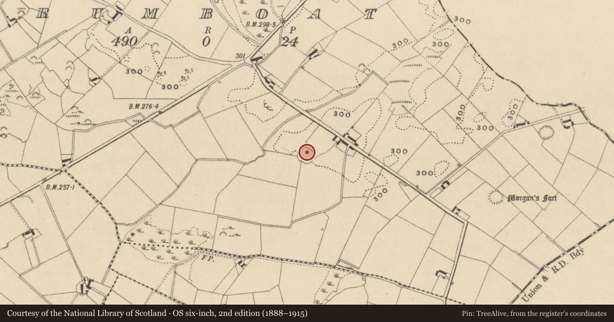 Ordnance Survey six-inch map, 2nd edition (1888–1915) covering the location of Ringfort - rath, Drumboat, County Monaghan, with a pin at the register's coordinates
