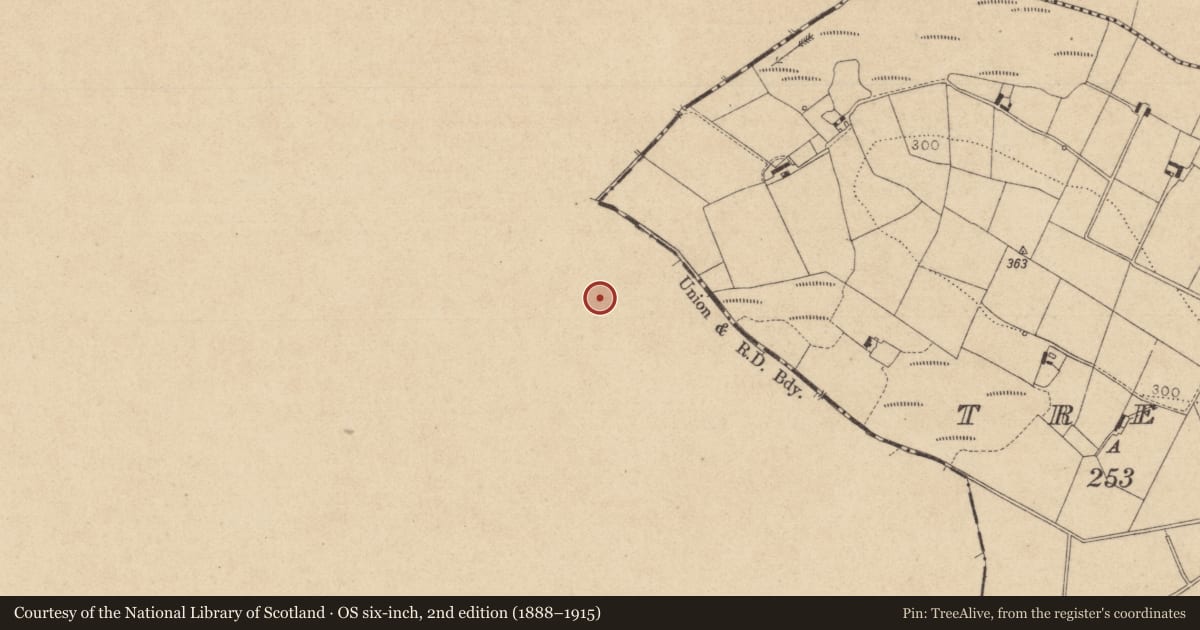 Ordnance Survey six-inch map, 2nd edition (1888–1915) covering the location of Ringfort - rath, Carrickykelly, County Monaghan, with a pin at the register's coordinates