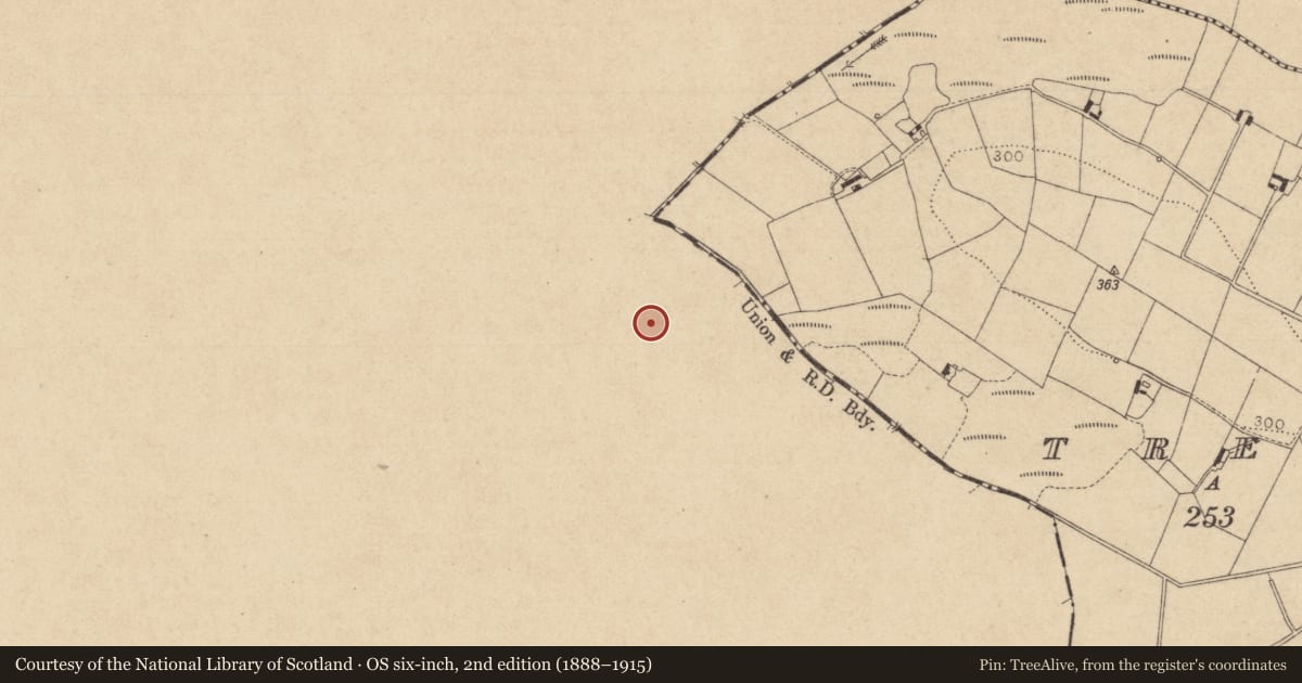 Ordnance Survey six-inch map, 2nd edition (1888–1915) covering the location of Souterrain, Carrickykelly, County Monaghan, with a pin at the register's coordinates