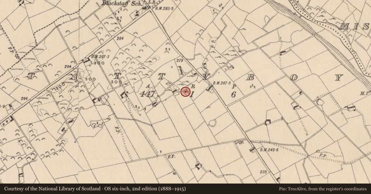 Ordnance Survey six-inch map, 2nd edition (1888–1915) covering the location of Ringfort - unclassified, Tattyboy, County Monaghan, with a pin at the register's coordinates