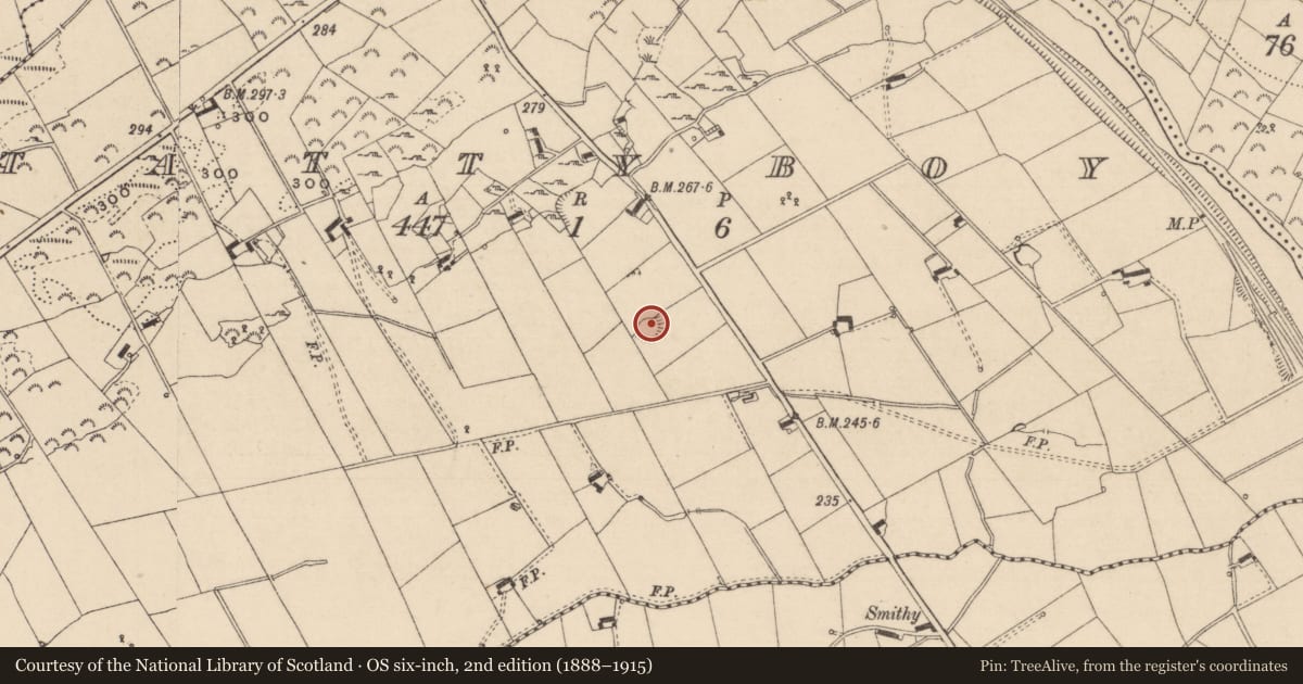 Ordnance Survey six-inch map, 2nd edition (1888–1915) covering the location of Ringfort - rath, Tattyboy, County Monaghan, with a pin at the register's coordinates