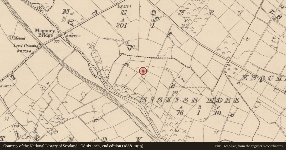 Ordnance Survey six-inch map, 2nd edition (1888–1915) covering the location of Ringfort - rath, Miskish More, County Monaghan, with a pin at the register's coordinates